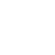 Feature Icon 1